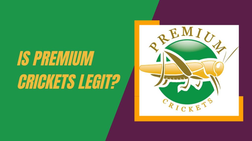 Is Premium Crickets Legit